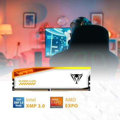 PATRIOT VIPER ELITE 5 TUF GAMING RGB HS 48GB DDR5 6600MT/s / DIMM / CL34 / 1,4V / Kit 2x 24GB