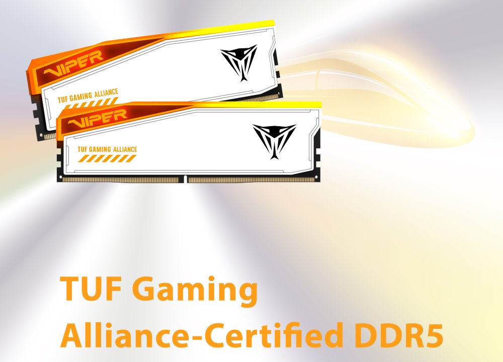 PATRIOT VIPER ELITE 5 TUF GAMING RGB HS 32GB DDR5 6600MT/s / DIMM / CL34 / 1,4V / Kit 2x 16GB