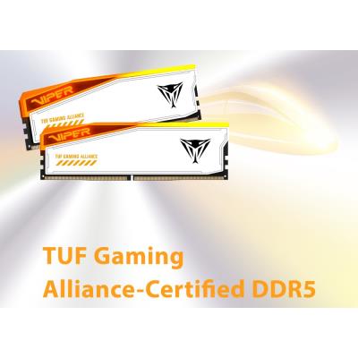 PATRIOT VIPER ELITE 5 TUF GAMING RGB HS 32GB DDR5 6000MT/s / DIMM / CL36 / 1,35V / Kit 2x 16GB