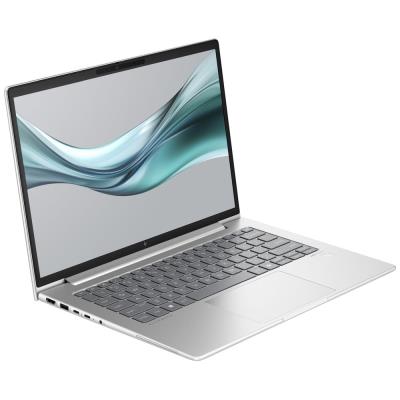 HP EliteBook 645 G11/ Ryzen 5 7535U/ 16GB DDR5/ 512GB SSD/ Radeon™ Graphics/ 14"WUXGA,matný/ W11P/ stříbrná