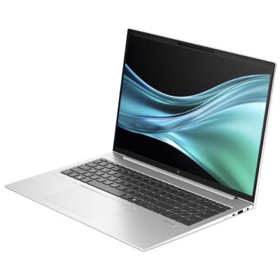 HP EliteBook 865 G11/ Ryzen 5 8540U/ 16GB DDR5/ 1TB SSD/ Radeon™ 740M/ 16"WUXGA,matný/ W11P/ stříbrná