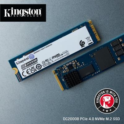 KINGSTON DataCenter DC2000B SSD 480GB / NVMe M.2 PCIe Gen4 / Interní / M.2 2280