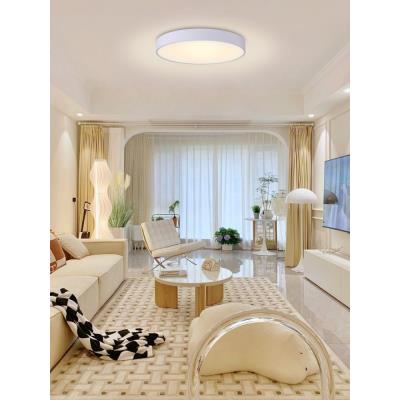 IMMAX NEO RONDATE SLIM Smart stropní svítidlo 60 x 7cm 53W 3710lm bílé Zigbee 3.0, TUYA