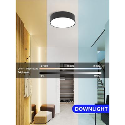 IMMAX NEO RONDATE SLIM SMART stropní svítidlo 25 x 7cm 18W Zigbee 3.0, TUYA, černé