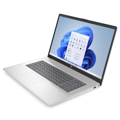 HP 17-cp2002nc/ Ryzen 5 7520U/ 8GB DDR5/ 512GB SSD/ Radeon Graphics/ 17,3"HD+,matný/ W11H/ stříbrný