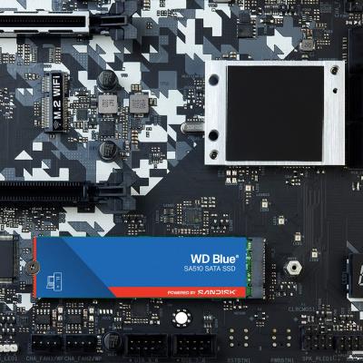 WD SSD BLUE SA510 250GB / WDS250G3B0B / M.2 SATA III / Interní / 2280
