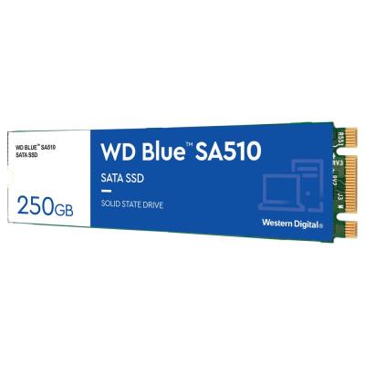 WD SSD BLUE SA510 250GB / WDS250G3B0B / M.2 SATA III / Interní / 2280