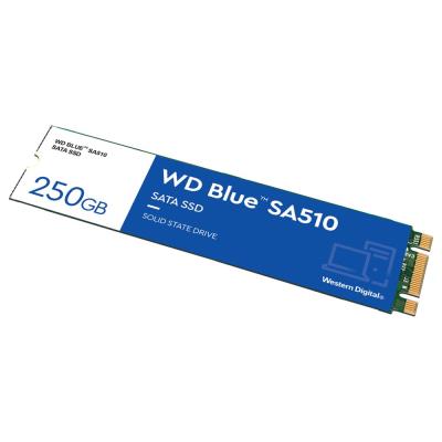 WD SSD BLUE SA510 250GB / WDS250G3B0B / M.2 SATA III / Interní / 2280