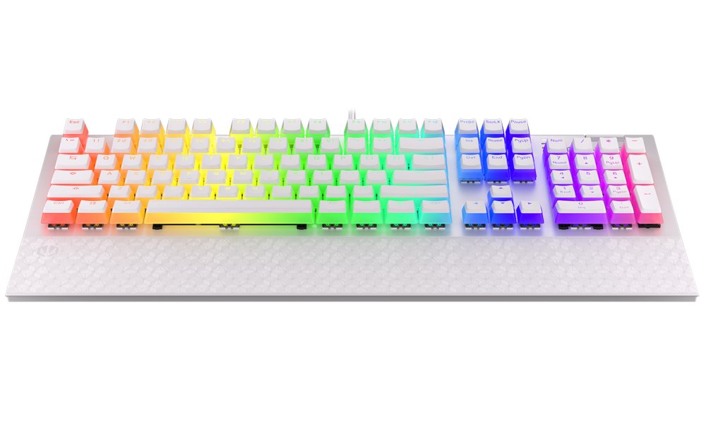 Endorfy herní klávesnice Omnis OWH Pudd.Kailh BR RGB /USB/ brown switch / drátová / mechanická / US layout / bílá RGB