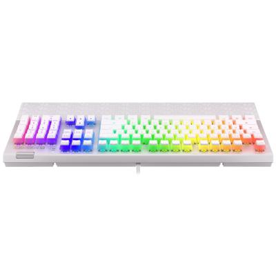 Endorfy herní klávesnice Omnis OWH Pudd.Kailh BR RGB /USB/ brown switch / drátová / mechanická / US layout / bílá RGB