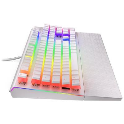 Endorfy herní klávesnice Omnis OWH Pudd.Kailh BR RGB /USB/ brown switch / drátová / mechanická / US layout / bílá RGB
