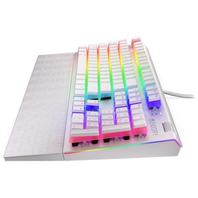 Endorfy herní klávesnice Omnis OWH Pudd.Kailh BR RGB /USB/ brown switch / drátová / mechanická / US layout / bílá RGB