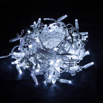 COLORWAY LED girlanda/ IP44 / 192 LED / délka 6m x 0,6m / studená bílá/ napájení AC, 220V, 6W